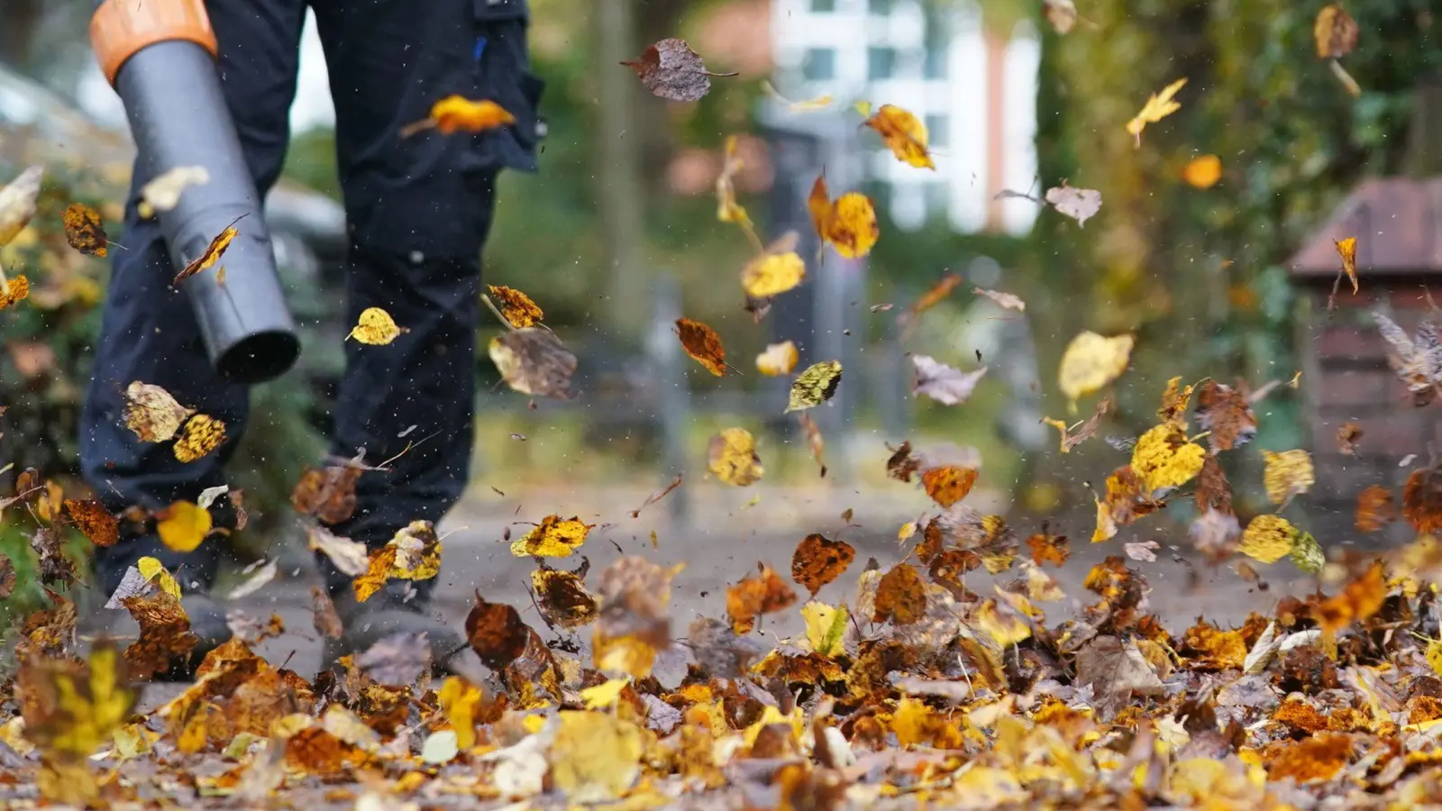 Zürich will den Einsatz nur noch von Oktober bis Dezember erlauben. (Symbolfoto) (Foto: Marcus Brandt/dpa/dpa-tmn)