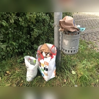 Sind die öffentlichen Mülleimer in Ansbach zu klein oder nicht in ausreichender Stückzahl vorhanden? Nein, sagt die Stadt – das Problem seien Teile der Bevölkerung. (Symbolbild: Oliver Herbst)