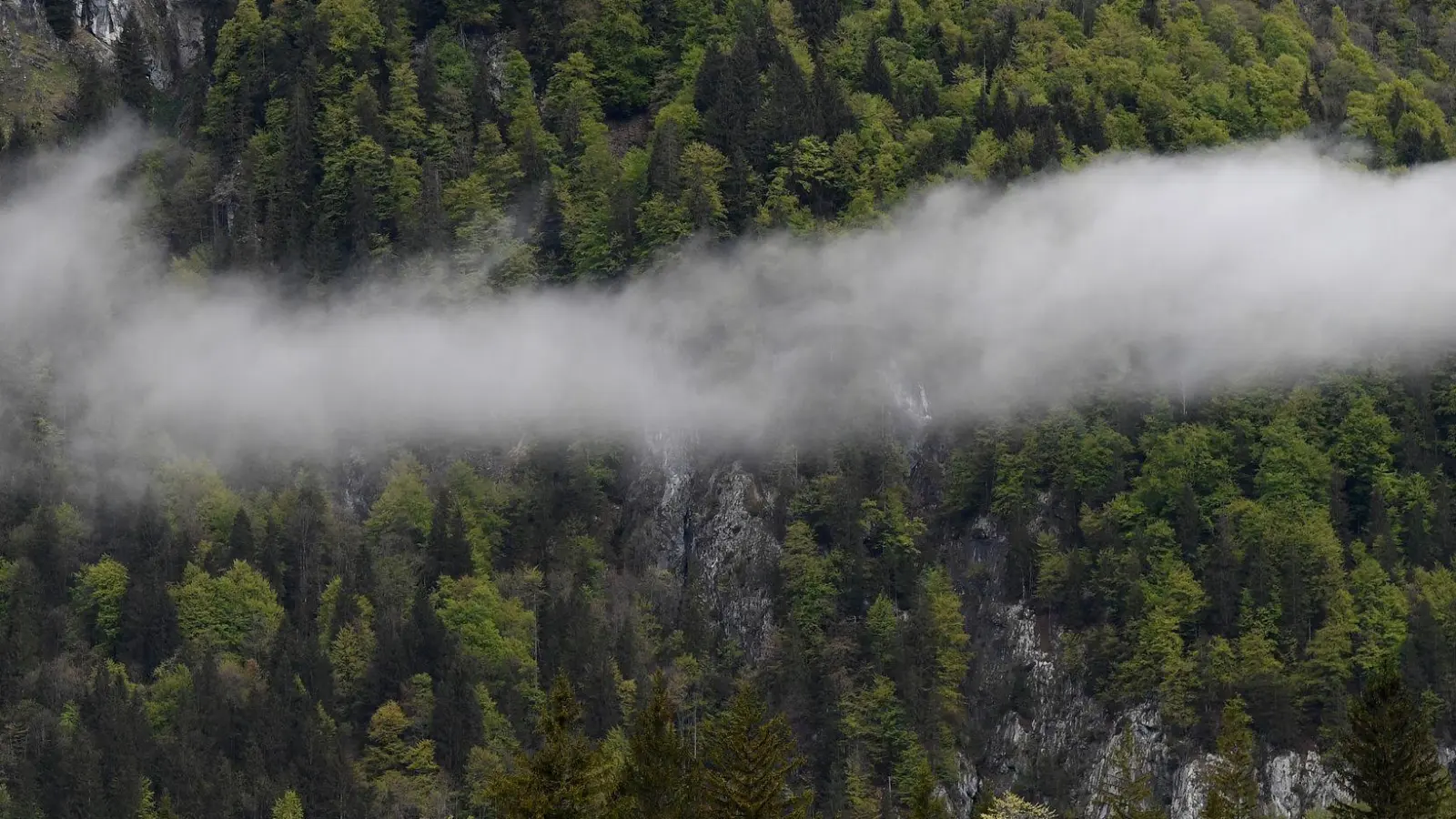 Zwischen Hohenschwangau und Berchtesgaden ließ König Maximilian II. einige Jagd- und Pirschhütten errichten. (Symbolbild) (Foto: Angelika Warmuth/dpa)