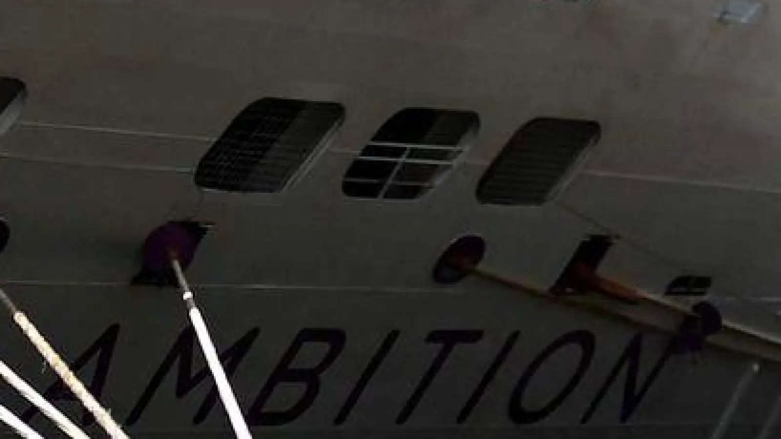 1.700 Passagiere und Crew-Mitglieder sitzen nach einer Welle von Magen-Darm-Erkrankungen auf einem Kreuzfahrtschiff in Bordeaux fest. (Foto: Christophe Archambault/AFP/dpa)
