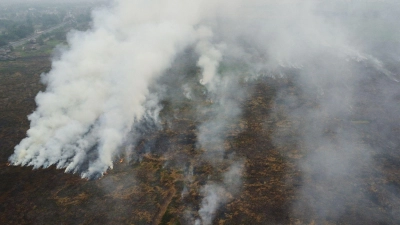 Die Brände auf Borneo und Sumatra wüten seit Monaten. (Foto: Muhammad Hatta/AP/dpa)