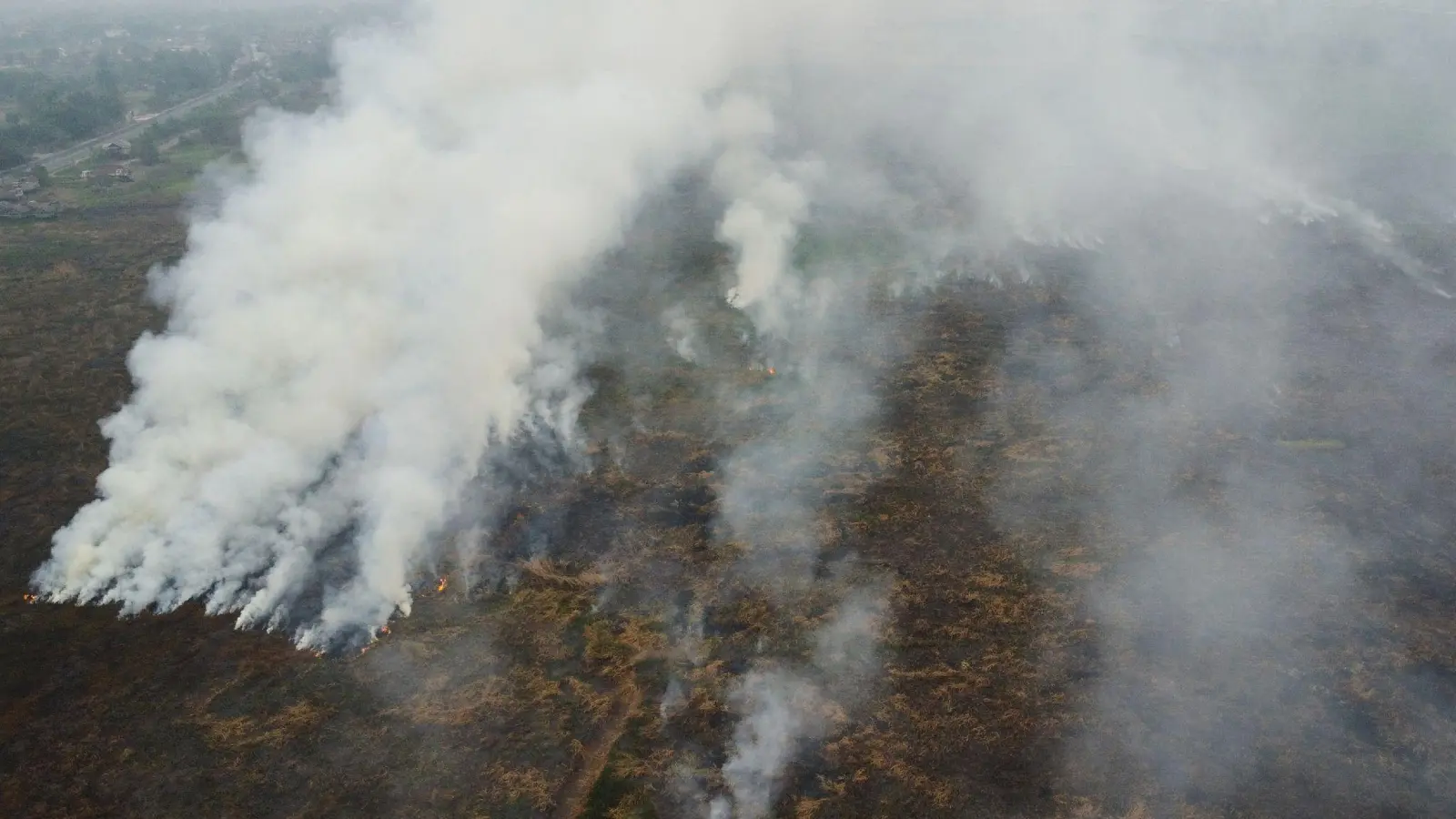 Die Brände auf Borneo und Sumatra wüten seit Monaten. (Foto: Muhammad Hatta/AP/dpa)
