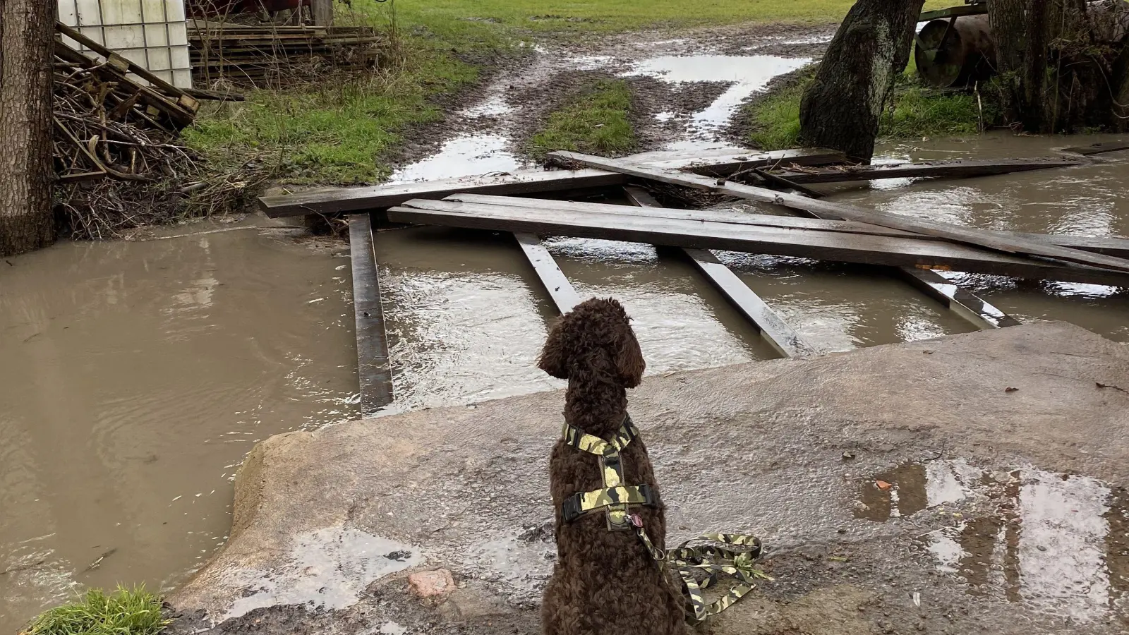 Einen Steg eines Aisch-Arms in Dietersheim hat das Hochwasser offenbar stark zugesetzt. (Foto: Thomas Billmann)