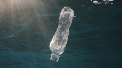 Eine Flasche treibt im Meer - wie hier vor Ägypten.  (Foto: Andrey Nekrasov/ZUMA Press Wire/dpa)