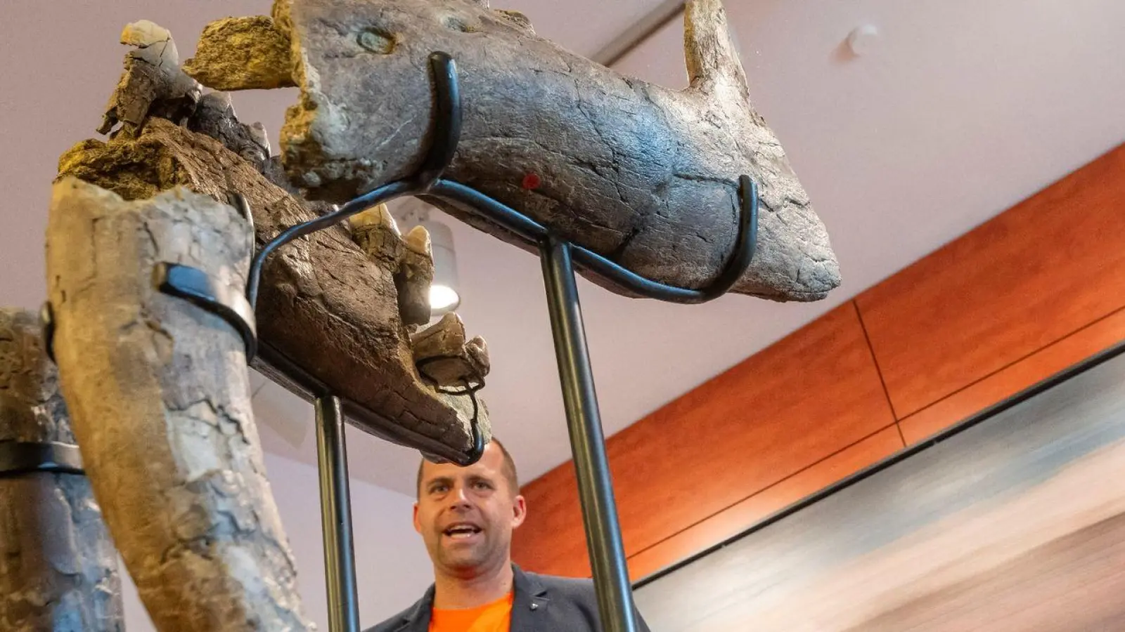 Peter Kapustin, Museumsleiter des Urzeitmuseum, erklärt die Funde eines Urelefanten-Friedhofs. (Foto: Peter Kneffel/dpa)