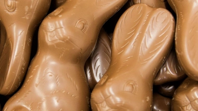 Schokoladen-Hasen liegen in einer Box - bereit, an Ostern versteckt zu werden. (Foto: Lino Mirgeler/dpa)