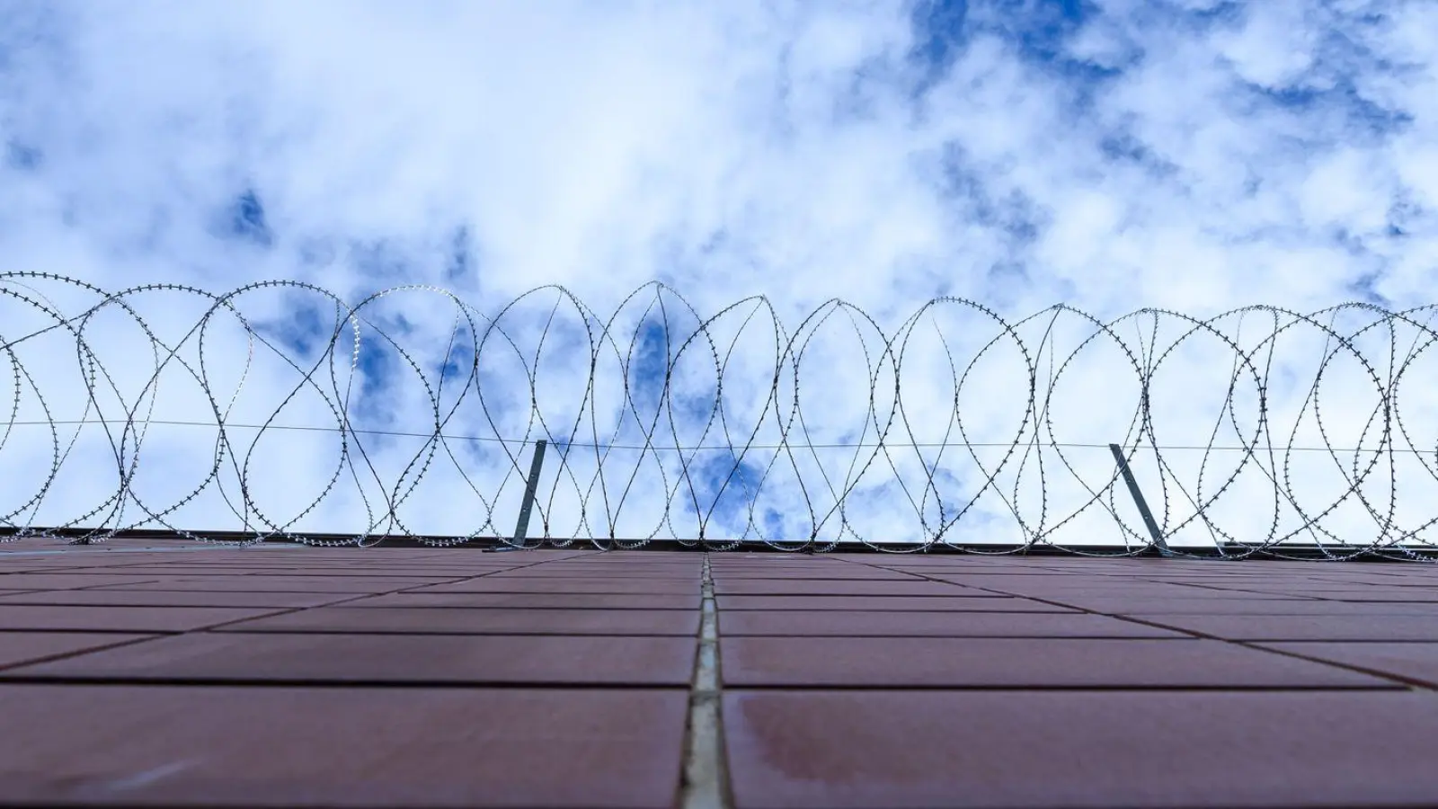 Stacheldrahtzaun - egal ob einzeln gespannt oder als Spirale - ist in Ansbach für Grundstücke nun verboten. (Symbolbild: Silas Stein/dpa)