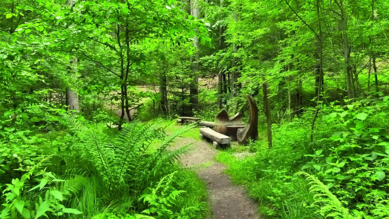 Die Natur mit allen Sinnen erleben - das geht in der Oase der Sinne in Münchsteinach. (Archivbild: Gemeinde Münchsteinach/Beate Kaiser)
