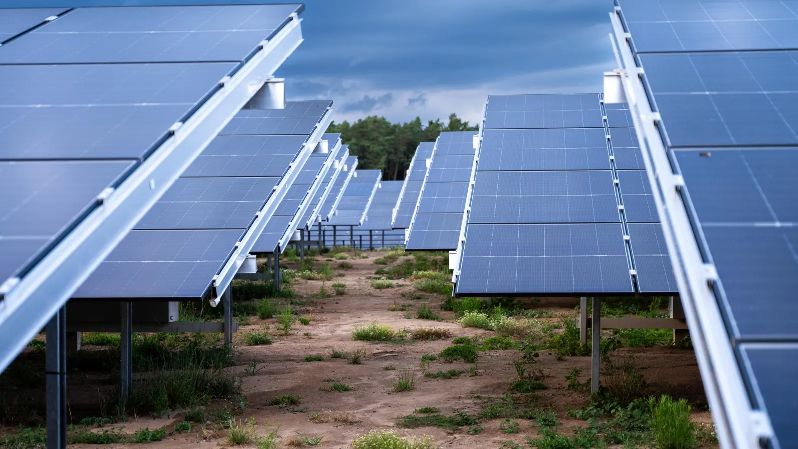Überraschend positiv sehen die im Vorfeld des Neustädter Klimaschutzkonzeptes Befragten solche PV-Freiflächenanlagen. Windräder haben wesentlich geringere Sympathiewerte.  (Foto: René Chlopotowski)
