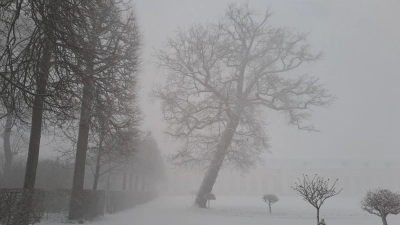 Durch den Schneesturm kaum zu erkennen: der Hofgarten in Ansbach.  (Foto: Johannes Hirschlach)