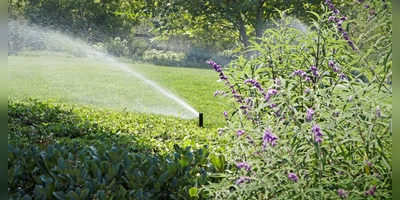 Sparsam und effizient: Eine automatische Bewässerung nimmt Gartenbesitzern viel Arbeit ab. (Foto: DJD/Rainpro)