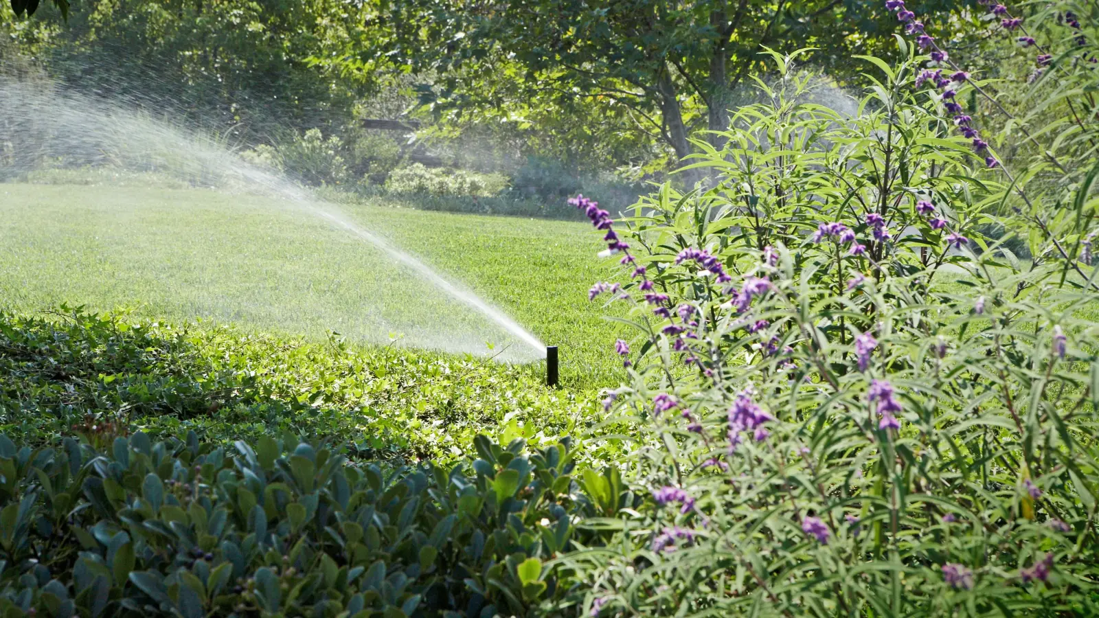 Sparsam und effizient: Eine automatische Bewässerung nimmt Gartenbesitzern viel Arbeit ab. (Foto: DJD/Rainpro)
