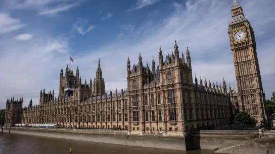 Eine britische Abgeordnete hat mit Nachdruck eine rasche Einigung auf die Renovierung des Parlaments in London angemahnt. (Foto: Stefan Rousseau/PA Wire/dpa)