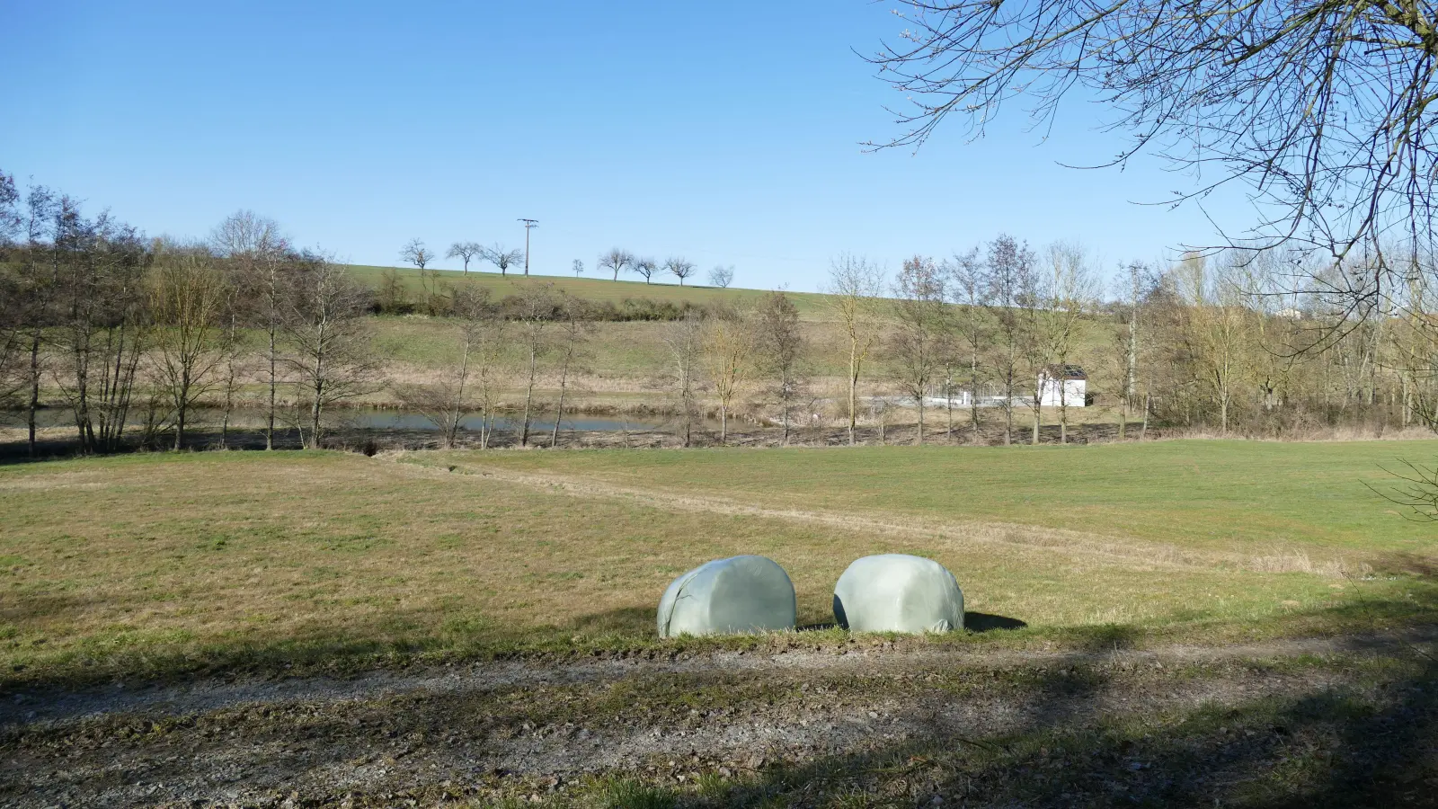 Eine Kette von drei Weihern bildeten in diesem Wiesengrund einst die Teichkläranlage von Langensteinach. Zwei davon sollen nun aufgefüllt werden, einer wird als kleiner See verbleiben. (Foto: Sylvia Fehlinger)