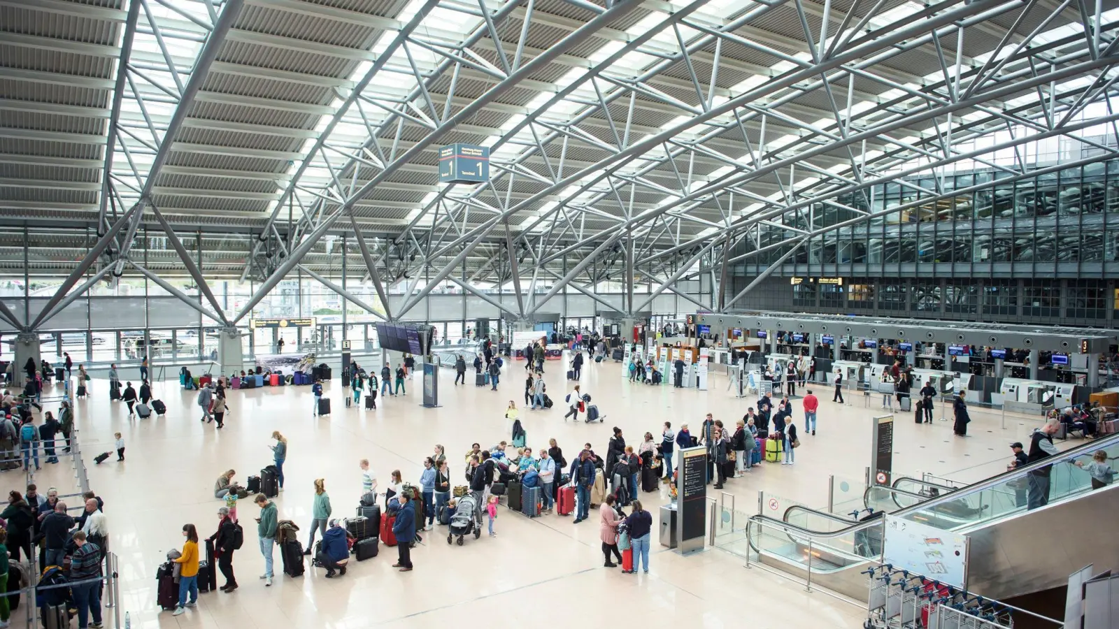 Reisende stehen im Terminal des Flughafens Hamburg in einer Warteschlange an einem Check-in-Schalter. (Foto: Gregor Fischer/dpa)