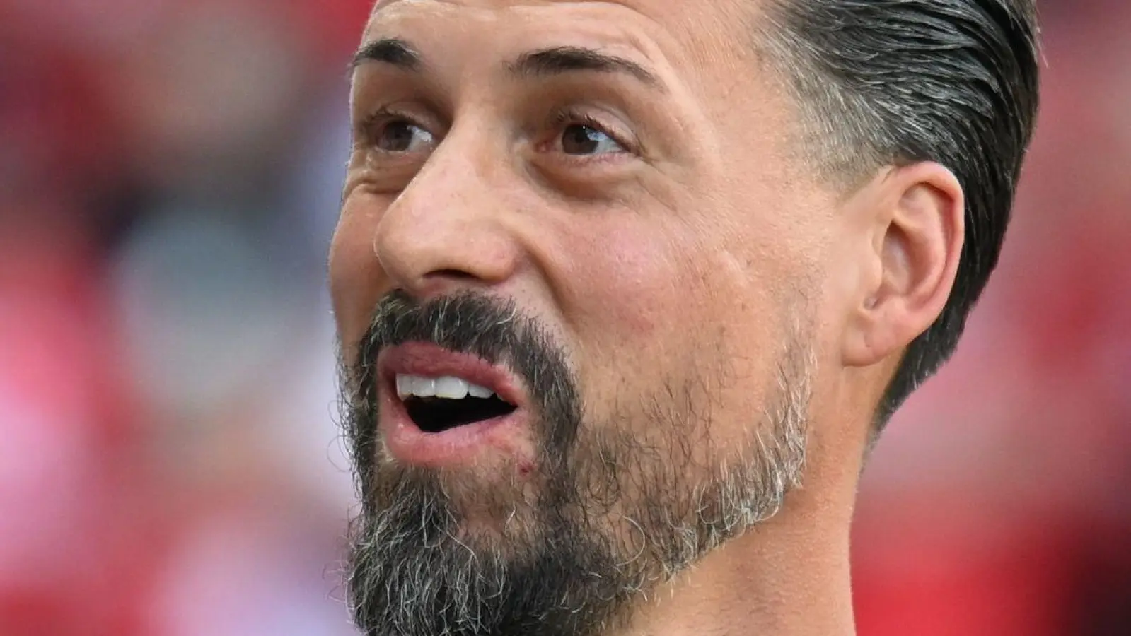 Da freut sich Sandro Wagner: Anton Kade kommt. (Archivbild) (Foto: Hendrik Schmidt/dpa)