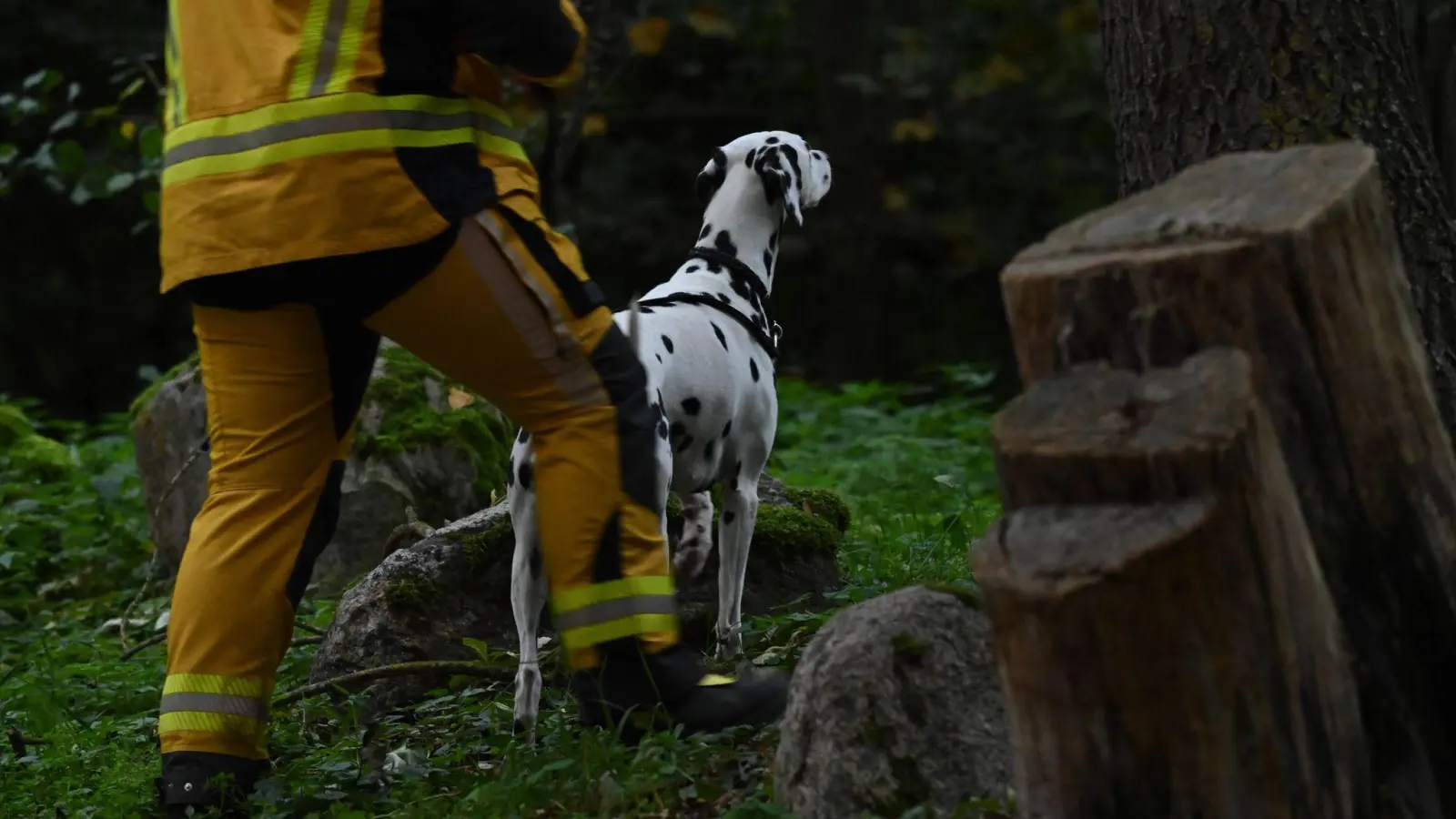 „Der Junge war möglicherweise auf dem Weg zu seinem Vater“, sagte die Sprecherin. (Foto: Stefan Sauer/dpa)
