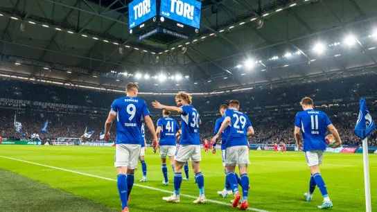 Nach langer Zeit konnte Schalke wieder über einen Sieg jubeln. (Foto: David Inderlied/dpa)