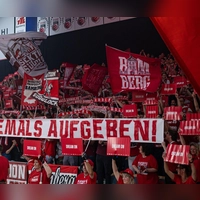 Fans der Bamberg Baskets. (Symbolbild) (Foto: Daniel Löb/dpa)