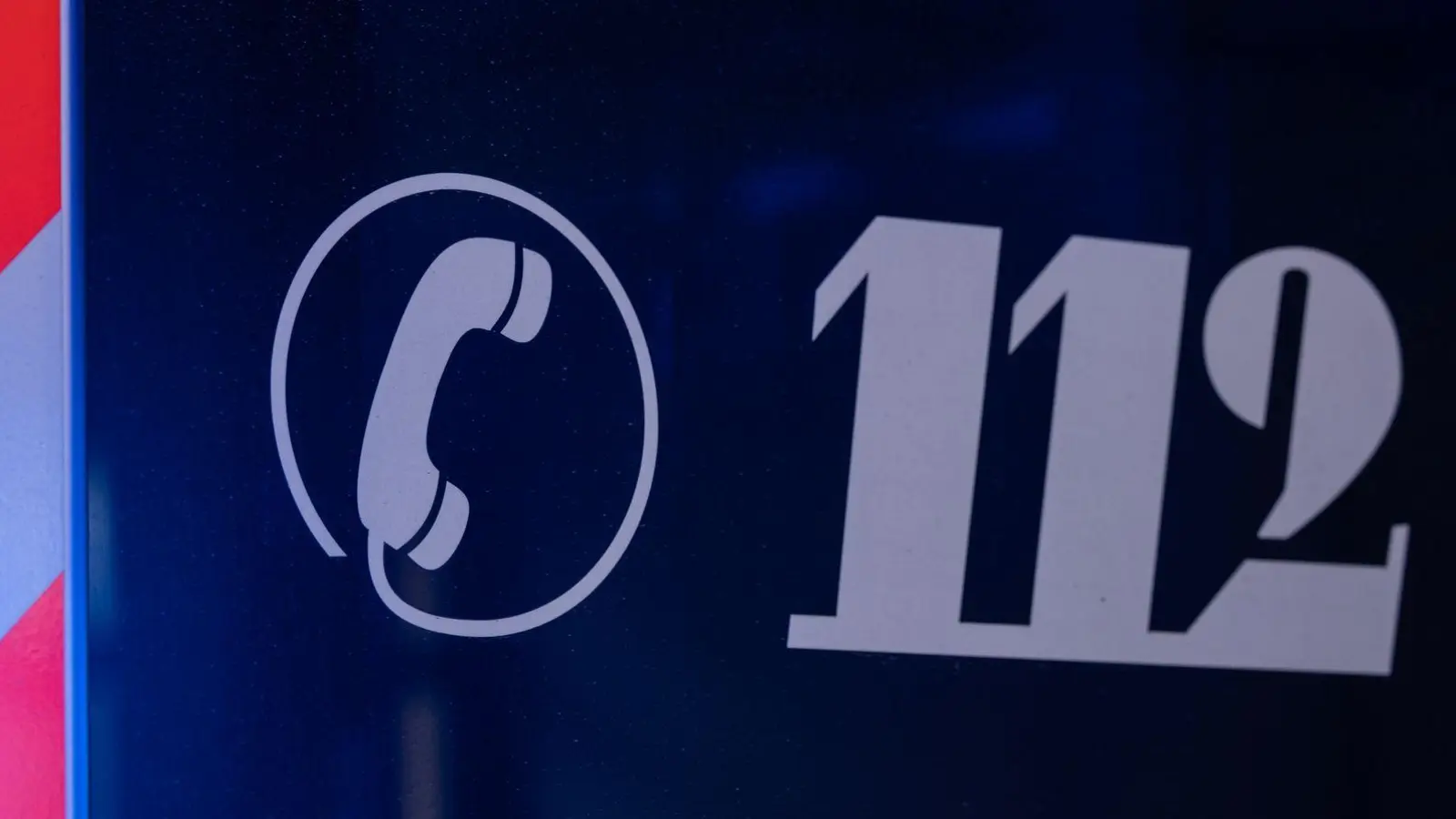 Die Feuerwehr befreite die Frau, die unter dem umgekippten Baum eingeklemmt worden war. (Symbolbild) (Foto: Hannes P Albert/dpa)