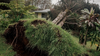 Hurrikan „Lala“ hat auf Hawaiis größter Insel Big Island schwere Schäden hinterlassen. (Foto: Stephen Lam/San Francisco Chronicle via AP/dpa)