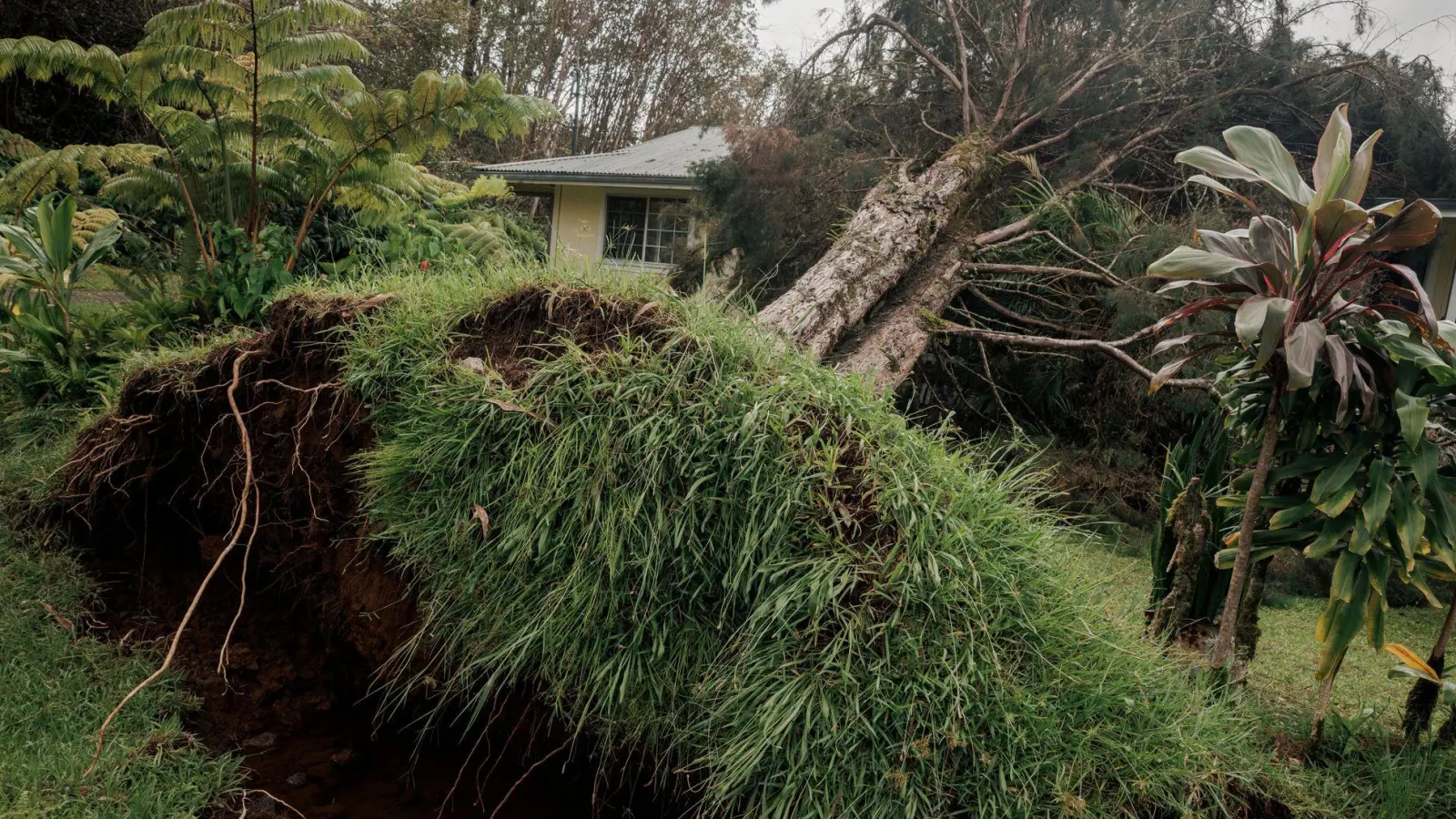 Hurrikan „Lala“ hat auf Hawaiis größter Insel Big Island schwere Schäden hinterlassen. (Foto: Stephen Lam/San Francisco Chronicle via AP/dpa)