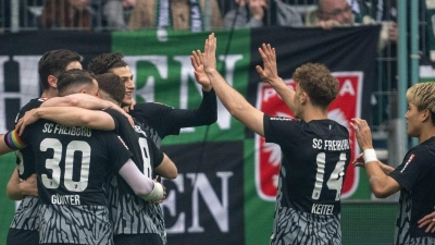 Führungstreffer: Freiburgs Spieler jubeln nach dem Tor von Michael Gregoritsch zum 1:0. (Foto: David Inderlied/dpa)