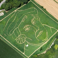 Luther in einem bayerischen Maisfeld - ansonsten ist Bayern überwiegend katholisch. (Symbolbild) (Foto: picture alliance / Peter Kneffel/dpa)