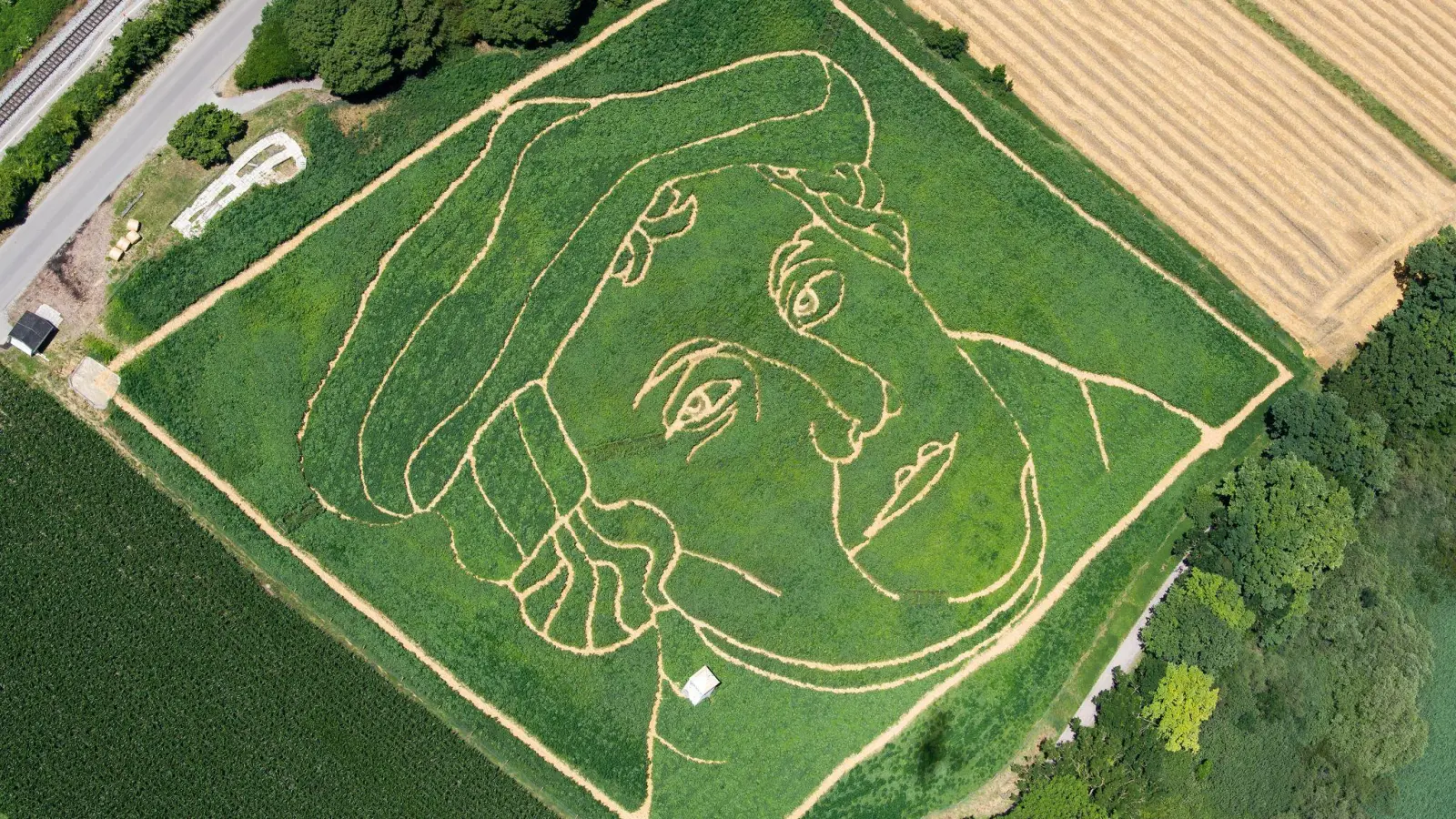 Luther in einem bayerischen Maisfeld - ansonsten ist Bayern überwiegend katholisch. (Symbolbild) (Foto: picture alliance / Peter Kneffel/dpa)