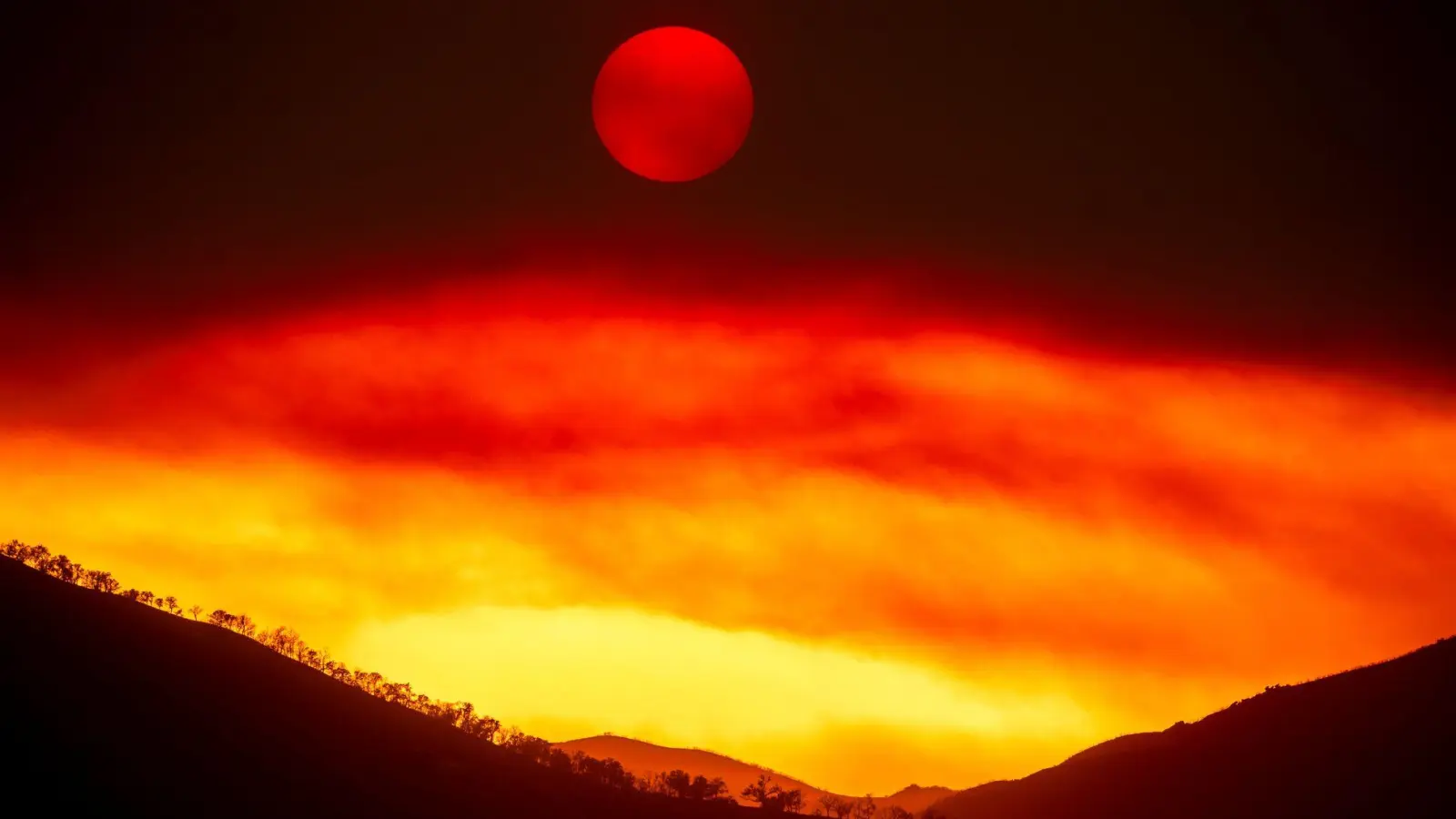 Das sogenannte „Gifford Fire“ wütet im Los Padres National Forest, einem Waldgebiet nördlich von Santa Barbara. (Foto: Noah Berger/AP/dpa)
