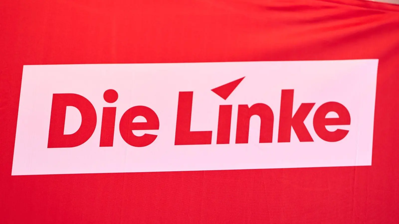 Die Linke hat binnen weniger Monate Zehntausende neue Mitglieder aufgenommen. (Symbolbild) (Foto: Sascha Ditscher/dpa)