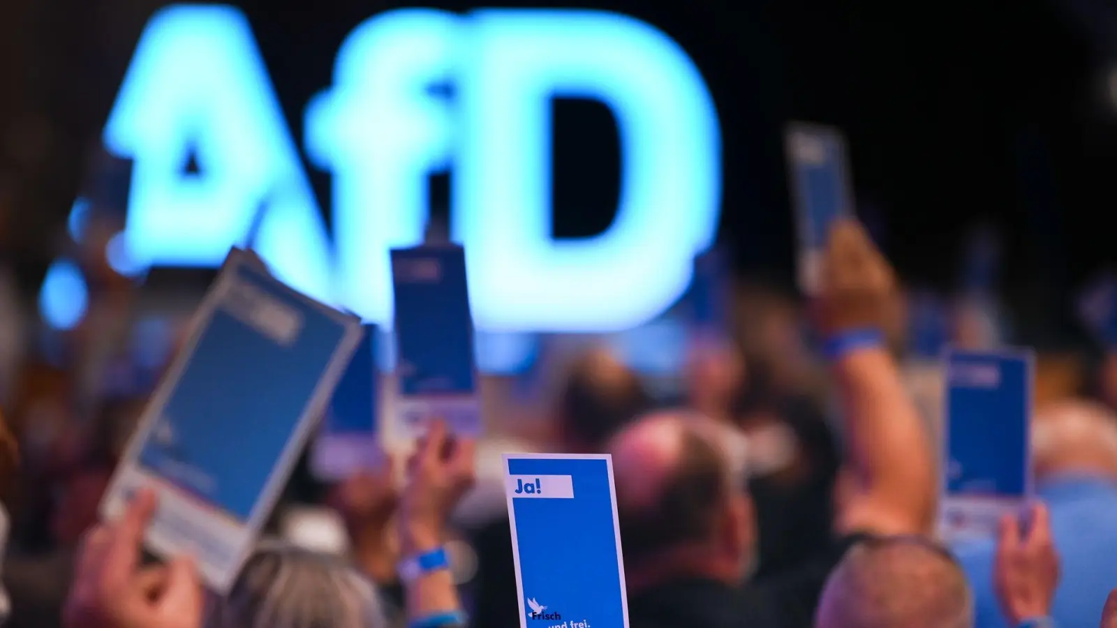 Die AfD will ihre neue Jugendorganisation stärker an sich binden. (Archivbild) (Foto: Heiko Rebsch/dpa)