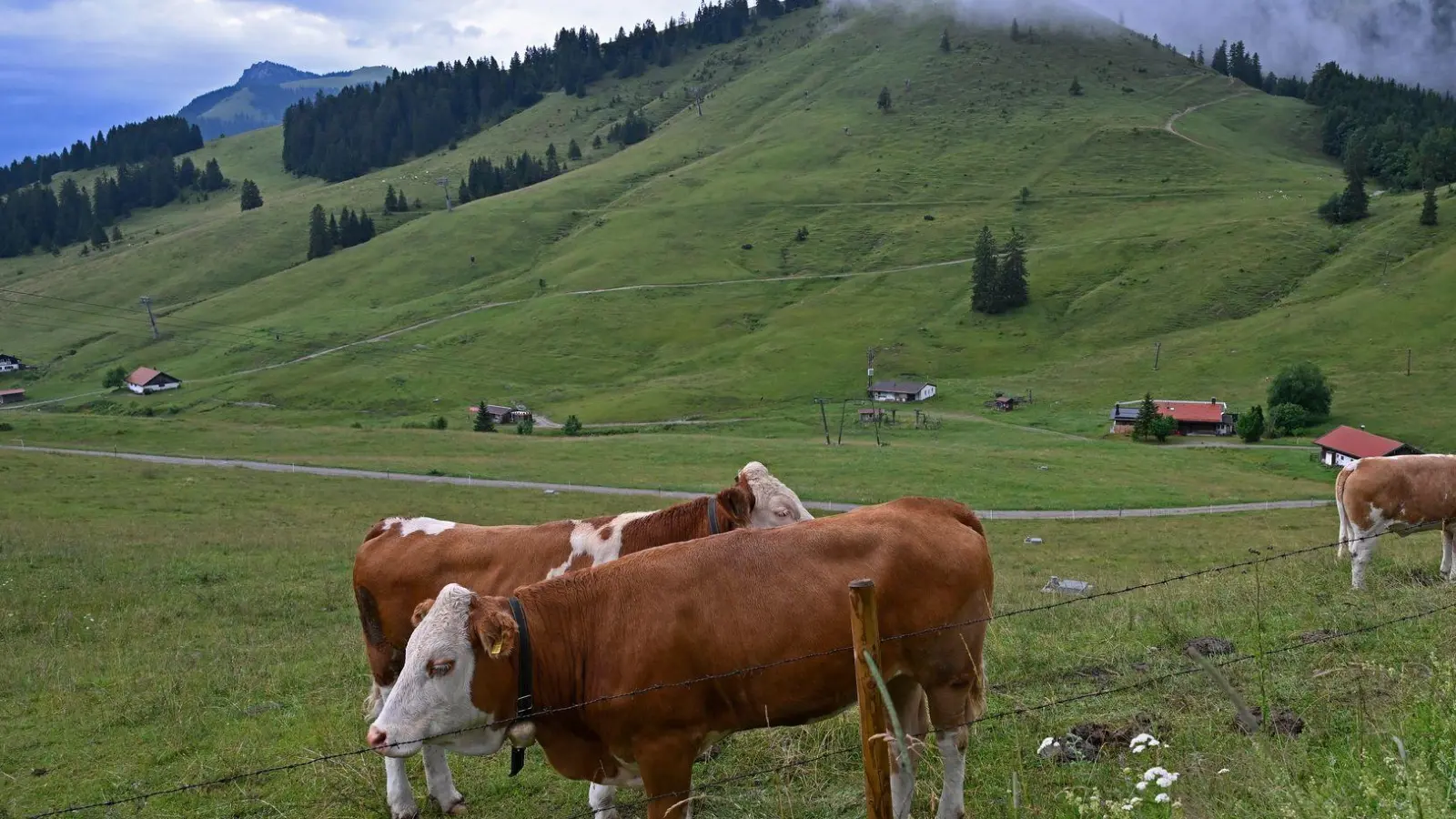 Regnerisches Wetter wird auch noch in den kommenden Tagen in Teilen Bayerns erwartet.  (Foto: Uwe Lein/dpa)