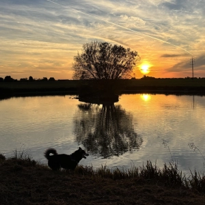 Sonnenuntergang am Weiher - gesehen in Dürrnbuch (Foto: Christian Vogler)