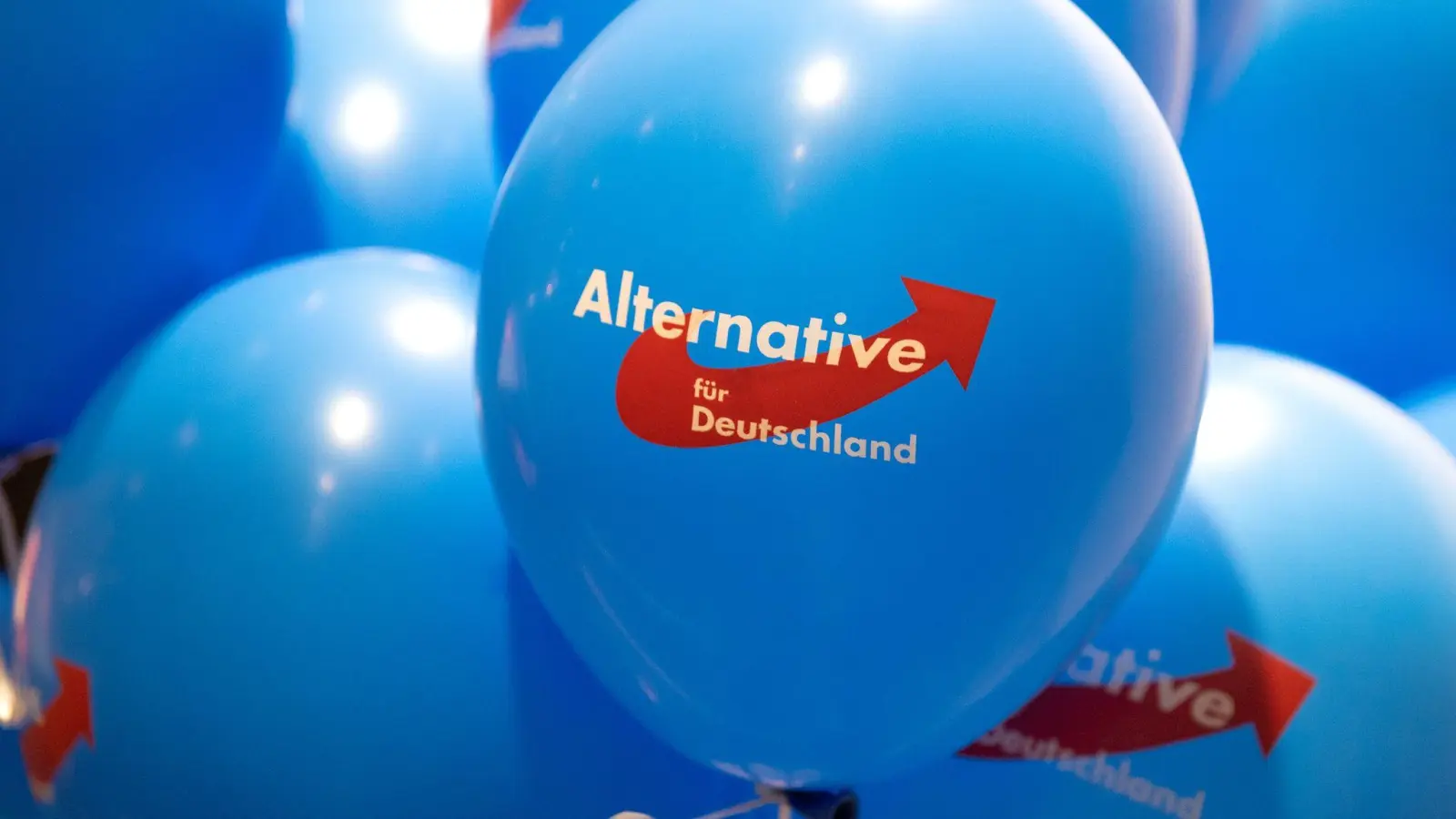 Dürfen AfD-Mitglieder in Rheinland-Pfalz nicht in den öffentlichen Dienst übernommen werden? Das wird letztlich im Einzelfall entschieden. (Symbolbild) (Foto: Monika Skolimowska/dpa-Zentralbild/dpa)