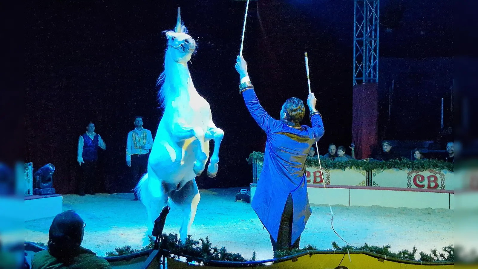 Ein Einhorn in Ansbach? So etwas kann es nur im Zirkus geben. (Foto: Andrea Walke)