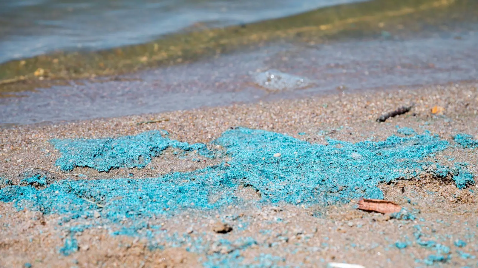 Im Altmühlsee wird vom Baden abgeraten. (Archivbild) (Foto: Daniel Vogl/dpa)