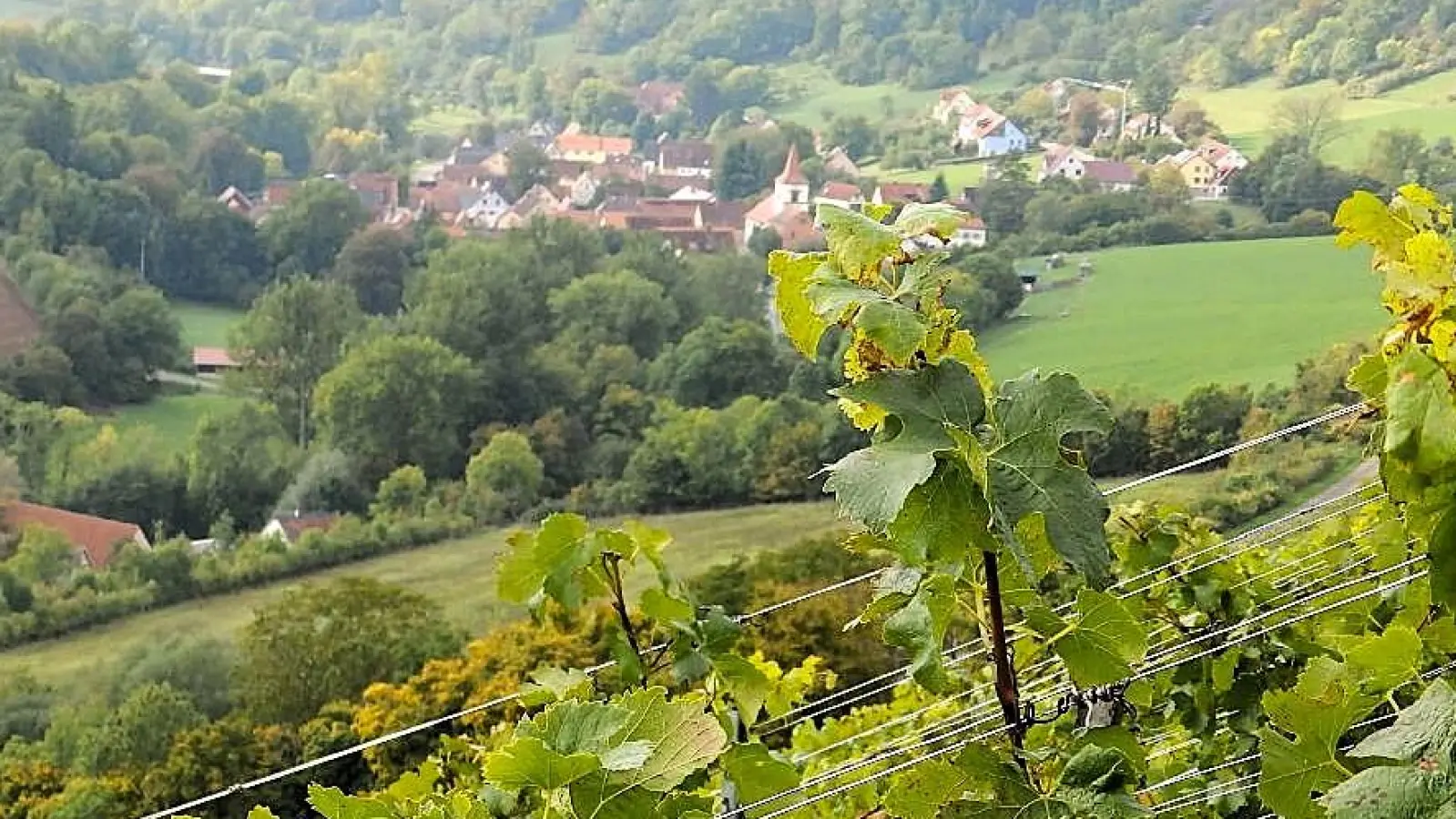 Von den Weinbergen aus hat man einen guten Blick auf Adelshofen. (Foto: Karl-Heinz Gisbertz)