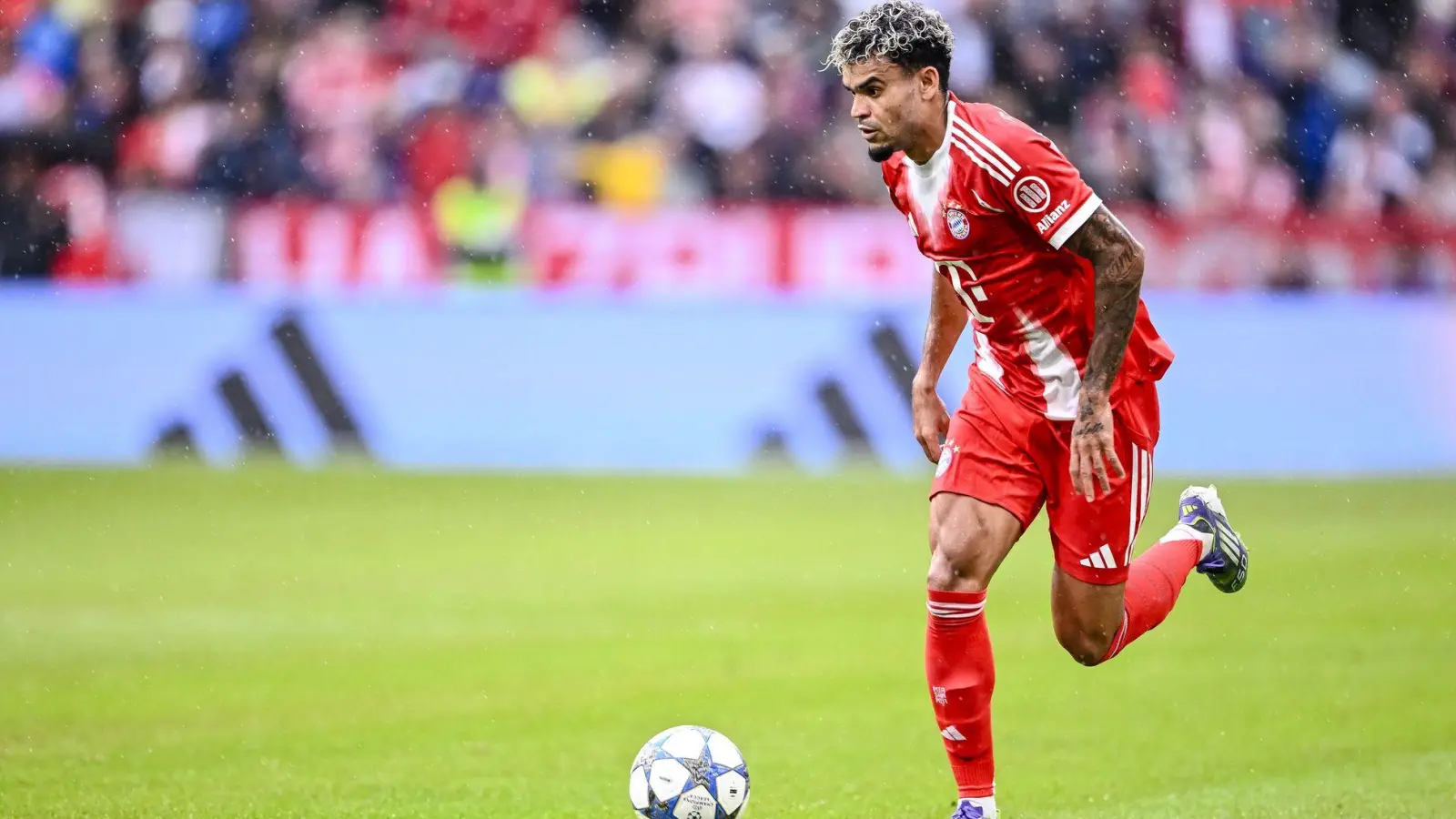 Neuzugang Luis Díaz sorgt bei Bayern für etwas Euphorie. (Foto: Harry Langer/dpa)