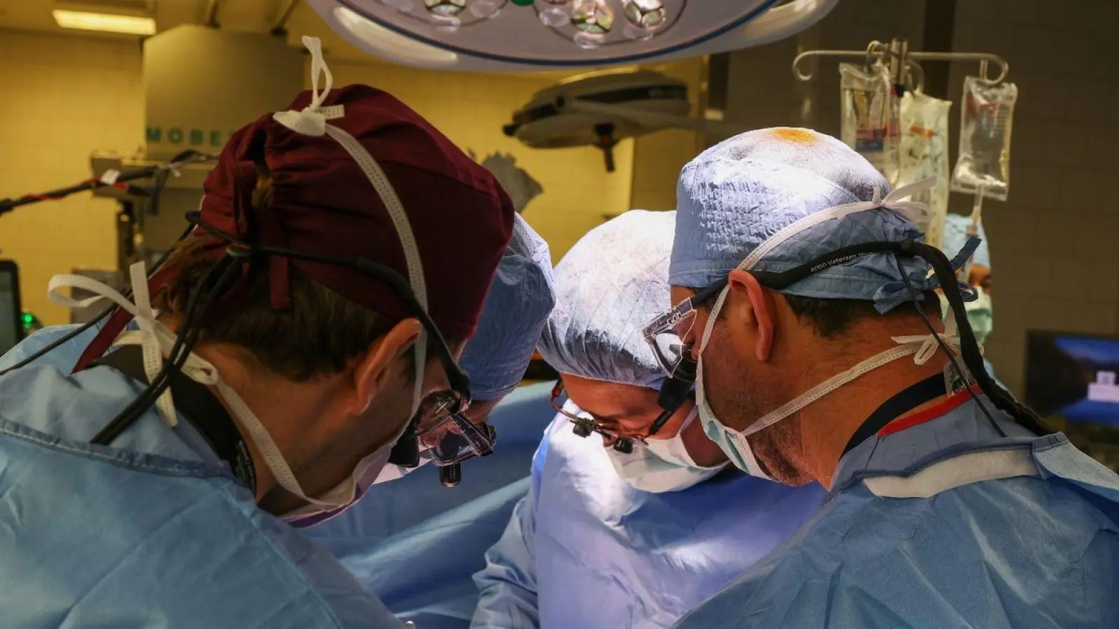 Im Massachusetts General Hospital haben Ärzte einem Patienten eine Schweineniere transplantiert. (Foto: Michelle Rose/Massachusetts General Hospital/dpa)