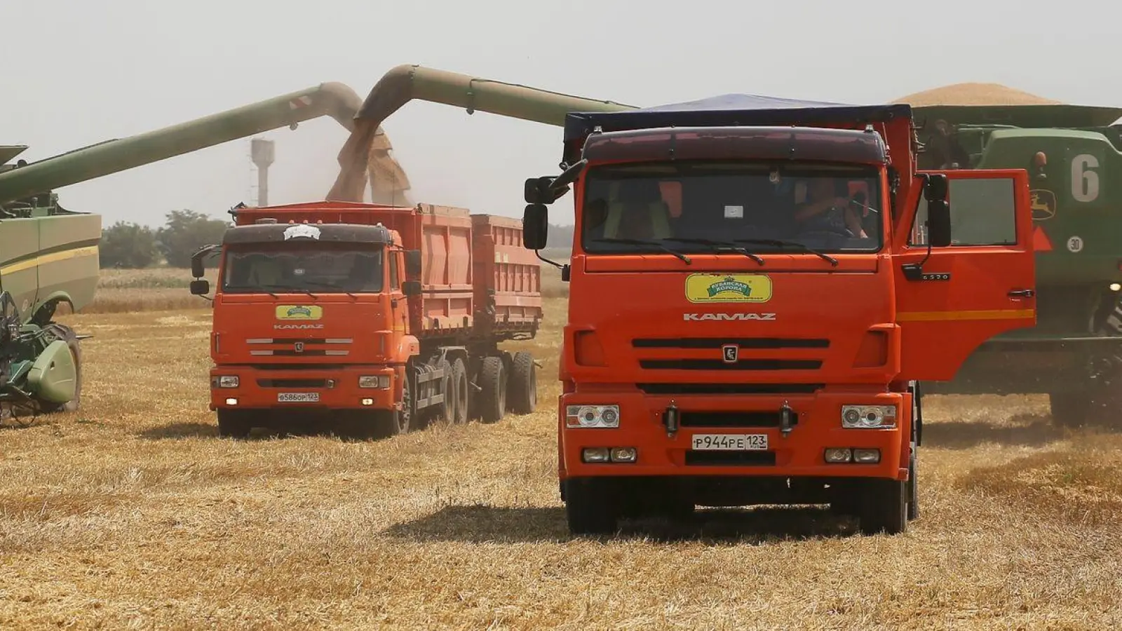 Mehrere EU-Staaten fordern von der Europäischen Kommission Importbeschränkungen für russisches Getreide. (Foto: Vitaly Timkiv/AP/dpa)