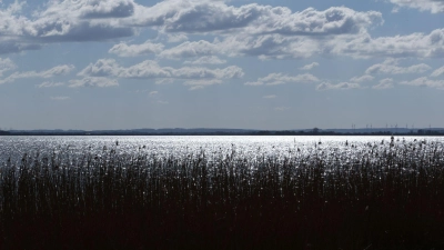 Der Dümmer ist der zweitgrößte See in Niedersachsen und gilt als „Hotspot“ der Artenvielfalt, gerade für Vögel. (Foto: Friso Gentsch/dpa)