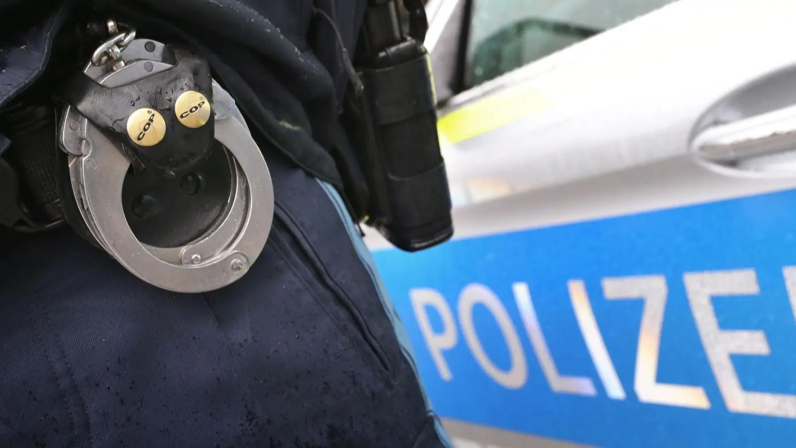 Die Beamten konnten den Raser an einer Raststätte anhalten. (Symbolbild) (Foto: Karl-Josef Hildenbrand/dpa)