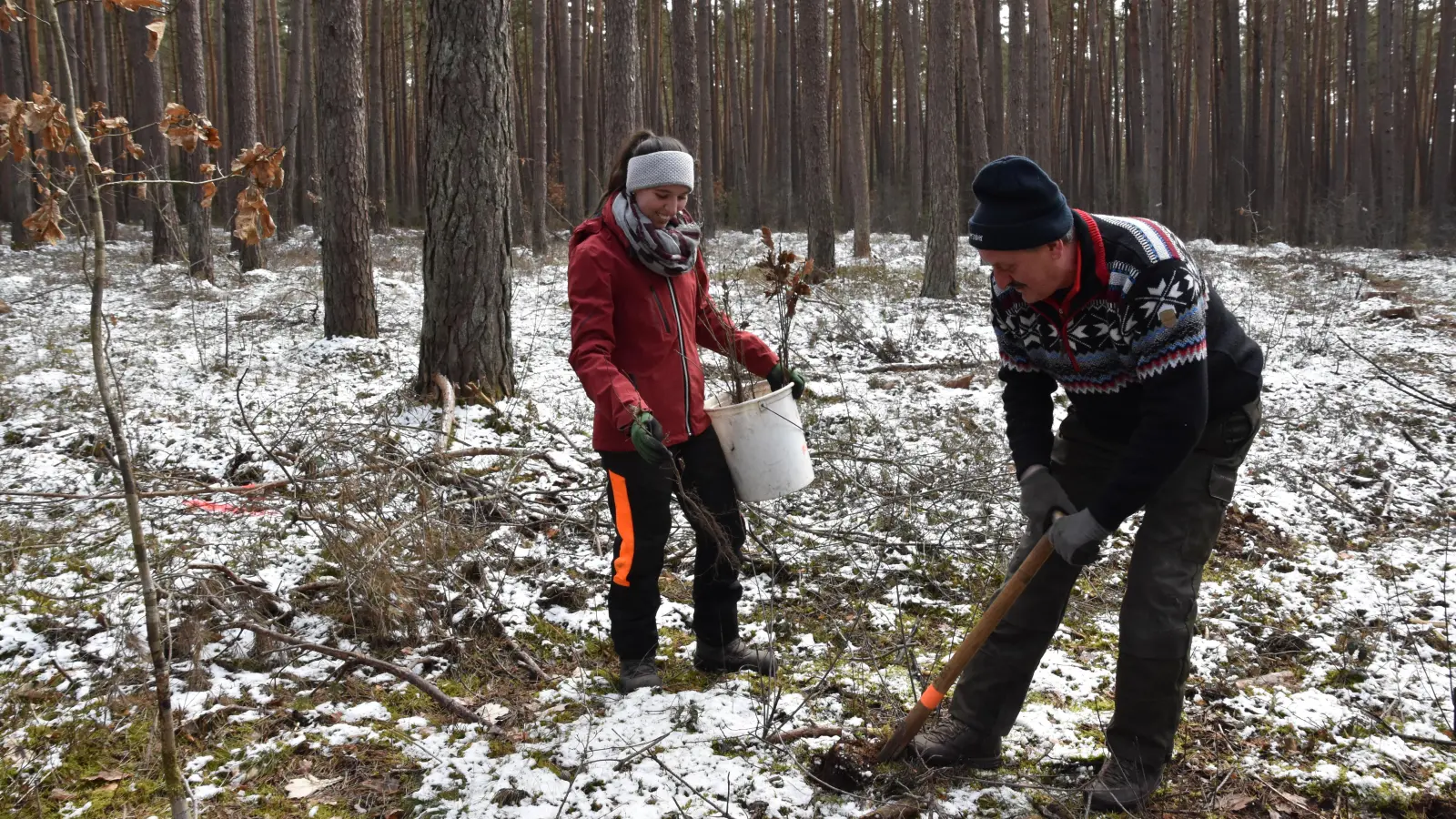Vater und Tochter pflanzen Bäume fürs Klima in ihrem Privatwald: Annika und Herbert Hechtel nutzen die frostfreien Tage für die standortgerechte Aufforstung im Altbestand (Foto: Silvia Schäfer)