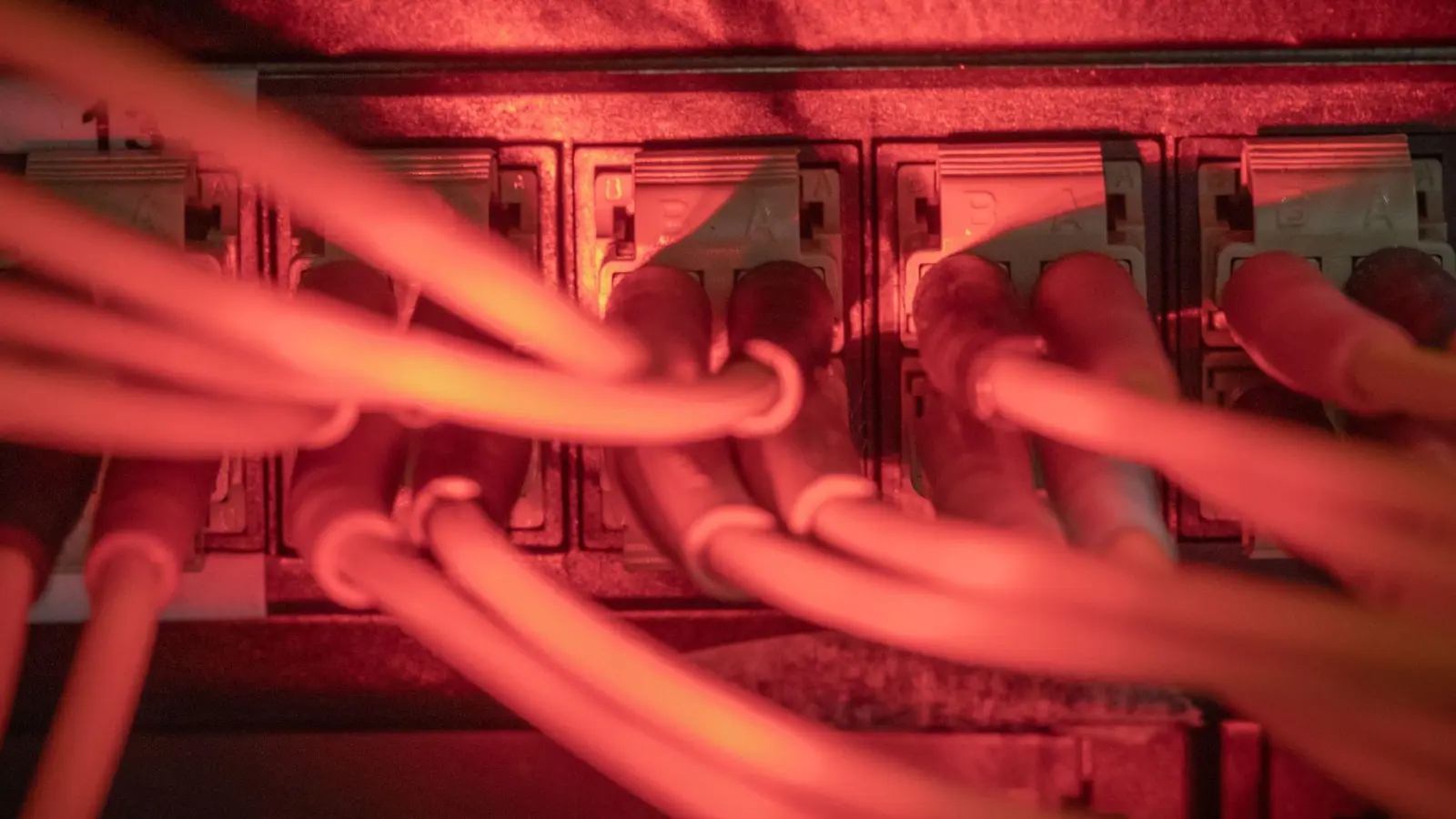 Proukrainische Hacker reklamieren für sich, die IT-System der größten russischen Fluggesellschaft Aeroflot durch einen Angriff lahmgelegt zu haben. (Symbolbild) (Foto: Michael Kappeler/dpa)