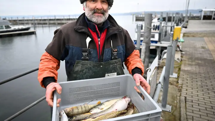 Fischwirtschaftsmeister Norbert Knoblauch hält im Hafen von Unteruhldingen am Bodensee eine Kiste mit frisch gefangenem Fischen in den Händen. (Foto: Felix Kästle/dpa/Archivbild)
