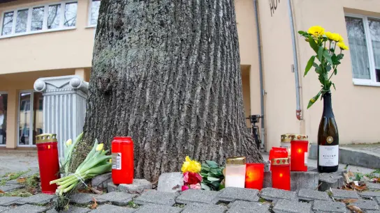Blumen und Kerzen liegen in Erinnerung an die verstorbene Seniorin vor einem Baum in Bad Mergentheim. (Foto: Heiko Becker/dpa)