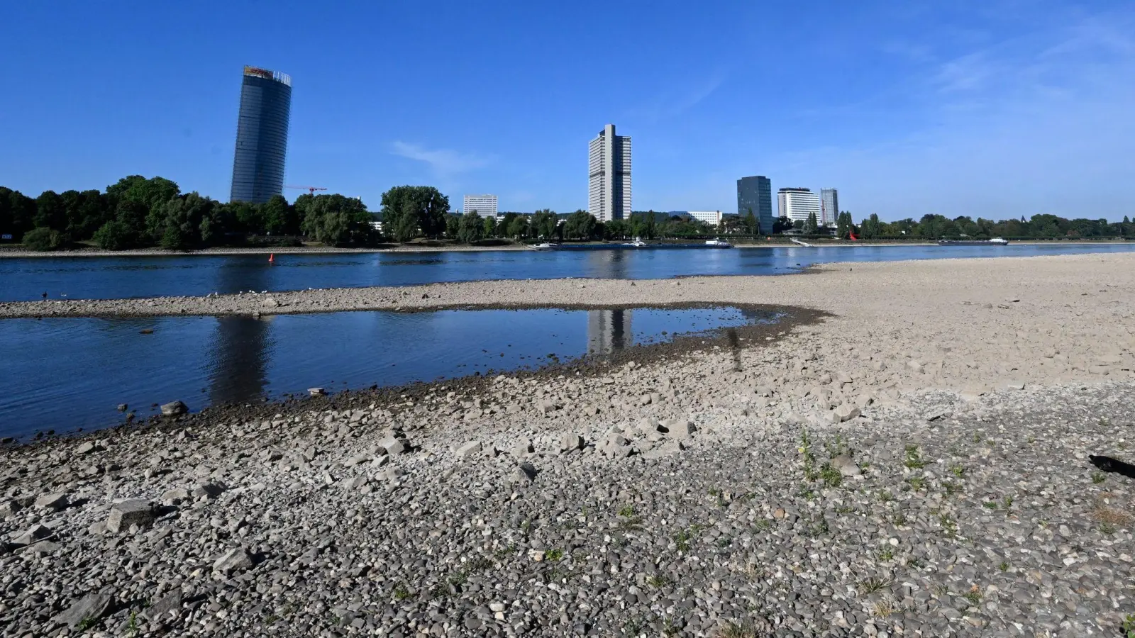 Der Rhein hat derzeit wenig Wasser - so wie hier in Bonn. (Foto: Roberto Pfeil/dpa)