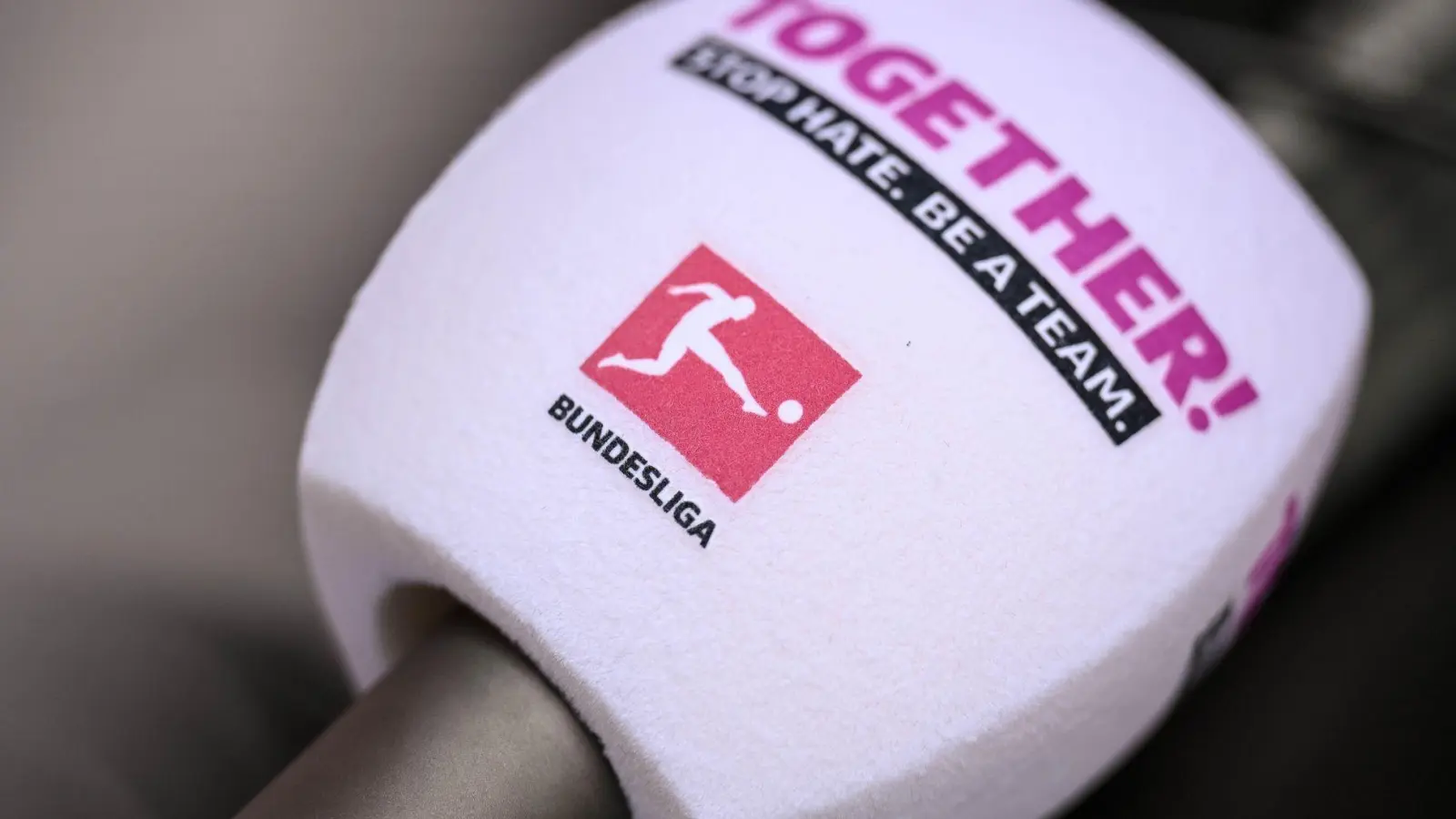 Wird die Bundesliga auch irgendwann einen Namenssponsor haben? (Archivbild) (Foto: Harry Langer/dpa)