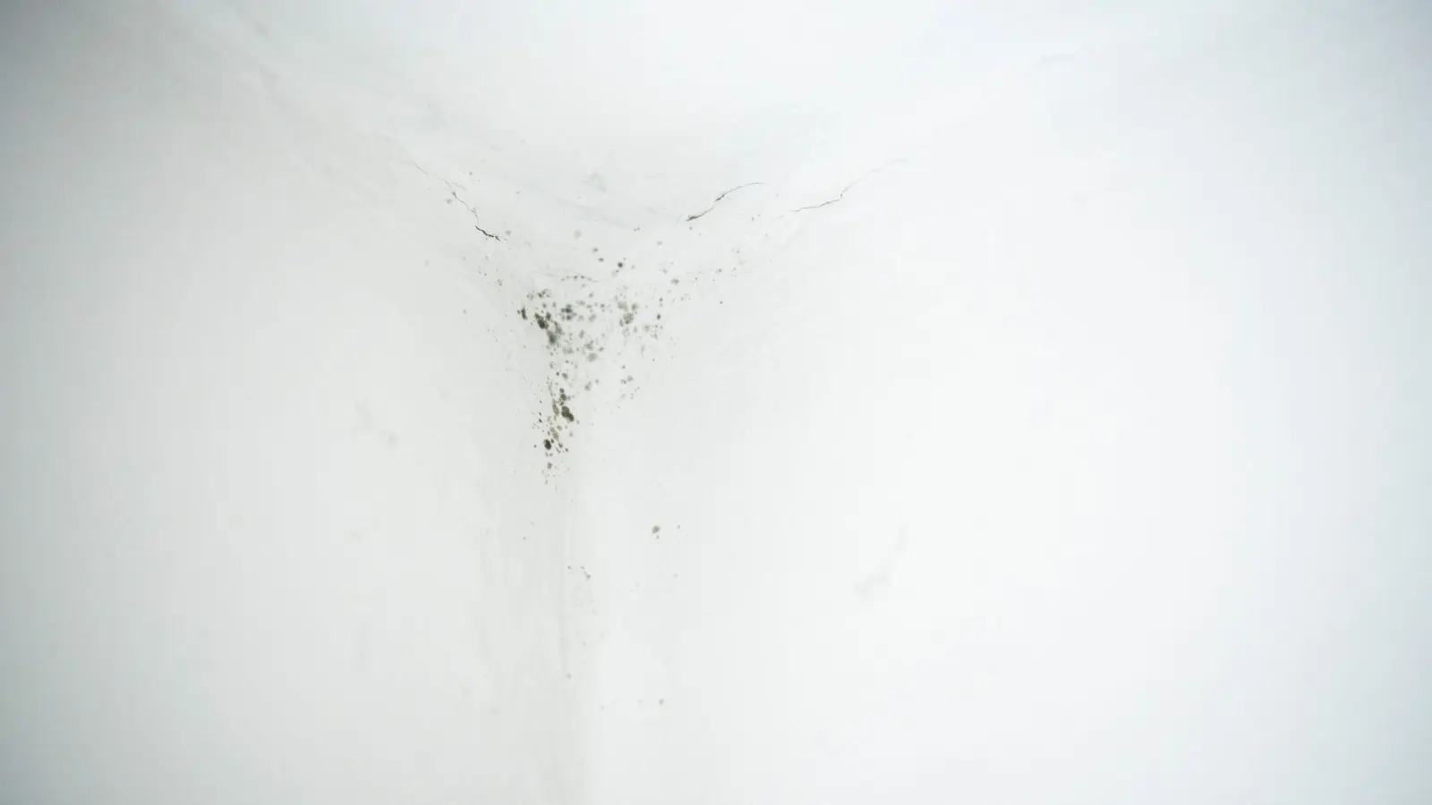 Keine Zeit verlieren: Die Ursachen für feuchte Stellen oder gar Schimmelspuren im Keller sollten möglichst schnell herausgefunden und beseitigt werden. (Foto: Catherine Waibel/dpa-tmn)